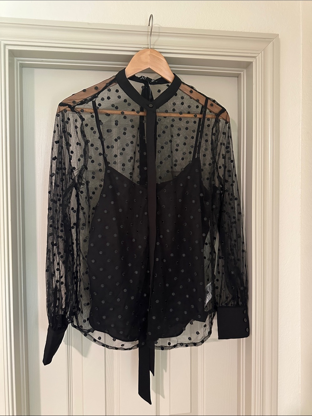 J. Crew Black Sheer Polka-Dot Tie-Neck Blouse